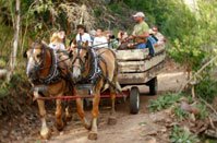 Wagon Rides in Utah