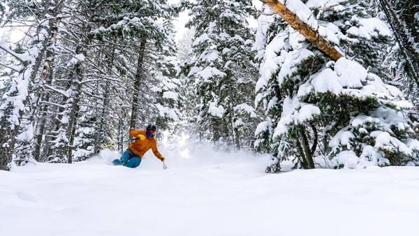 Deer Valley Resort Powder Day